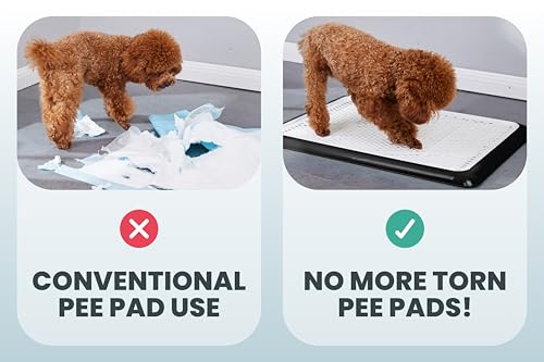 Pet Awesome Dog Potty Tray/Puppy Pee Pad Holder 25”x20” Indoor Wee Training for Small and Medium Dogs - color: Black