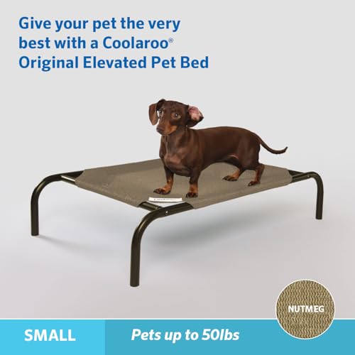Coolaroo The Original Cooling Elevated Pet Bed, Small, Nutmeg - color: Nutmeg, style: Small Dog Bed