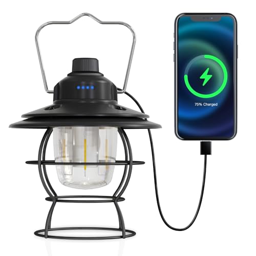 LED Camping Lantern Rechargeable Dimmable, Portable Vintage Outdoor Lantern 2700-6500K Waterproof, Hanging Retro Lamp Indoor Outdoor for Garden, Hiking, Emergency, Black - size: Black