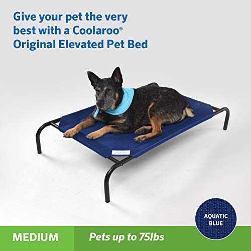 Coolaroo Original Elevated Dog Bed - Breathable Off-The-Ground Pet Bed with Cooling Fabric, Joint Relief & Moisture-Resistant Fabric, 100% Recyclable, Easy Clean, Aquatic Blue, Medium - color: Aquatic Blue, style: Medium Dog Bed