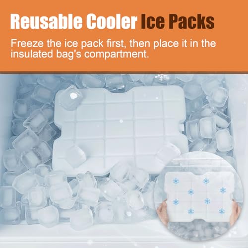 Snackle Box Container with Ice Pack, 304 Stainless Steel Divided Serving Tray, Snacklebox with Insulated Bag, 8 Compartment Platter Box with Lid and Handle for Beach, Road Trip, Boat Days, Pool Party - color: Silver White
