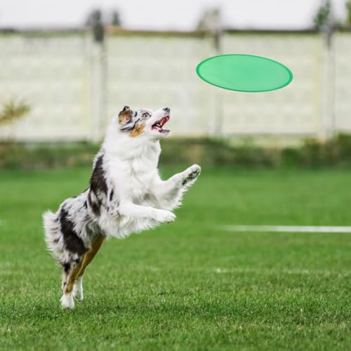 9 Pieces Foldable Flying Disc or Fan with Storage Bag Assortment Fans Set Beach Flying Disc- 9.8" Foldable Flying Disc（3 Colors）