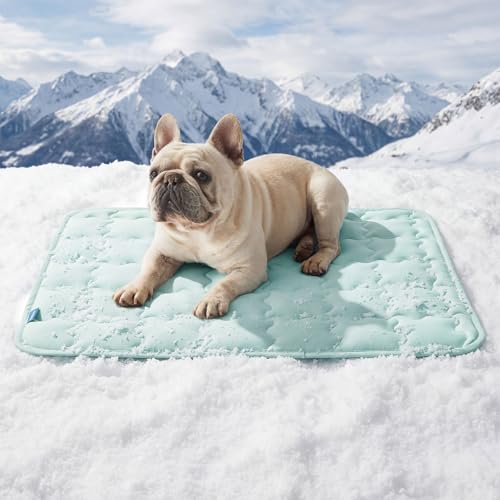 Bedsure Cooling Mat for Medium Dogs, Q-Max>0.5 Thin Breathable Cold Crate Pad for Pet, Portable Washable Kennel bed for Summer Active Dog With Chill Cool Soothing Fabric to Rapid Cooling, 29x21, Green - color: Light Green, size: 29" x 21" (Medium)