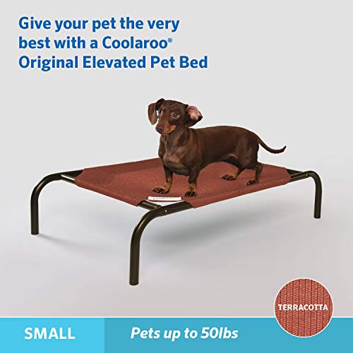 Coolaroo Original Elevated Dog Bed - Breathable Off-The-Ground Pet Bed with Cooling Fabric, Joint Relief & Moisture-Resistant Fabric, 100% Recyclable, Easy Clean, Terracotta, Small - color: Terracotta, style: Small Dog Bed