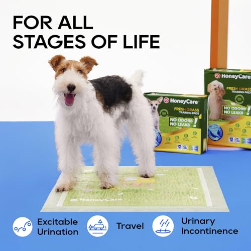 HoneyCare Fresh Grass Print/Scent All Absorb XL Training Pads, 26x30, 40 Ct - size: Extra Large