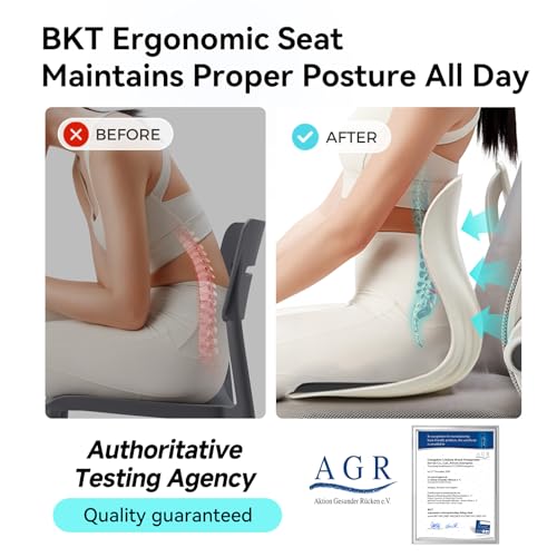 BKT Seat Cushion Chair Ergonomic Office Chair Cushions Lumbar Support for Seat Pillow Ideal for Students Office Workers Nursing Mothers Long Sitting Outdoor Fishing Floor (L-Black) - color: L-black