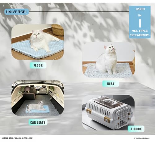 Two Uses'Cat Mat,Cooling&Self Warming Cat Mat.18 * 24in-Cooling Cat Pad.Hot/Cold Mat for Pets.Cats self Heating pad.Dogs and Cats with Ice Gel Bag,Temperature Lock Design,Machine Washable - color: Light Blue+Gel ice pack, size: Medium