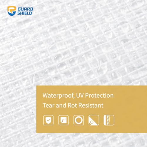 GUARD SHIELD Clear White Tarp Heavy Duty 8x20 Feet Waterproof for Greenhouse Outdoor Garden Poly Cover UV Resistant 3x3 Weave 10mil - color: Clear Leno / White, size: 8x20