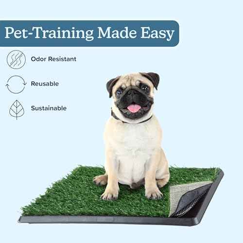 PETMAKER Artificial Grass Puppy Pee Pad with Tray, Reusable Dog Potty Training Mat for Indoor & Outdoor Use, Easy Clean Artificial Turf Surface for Dogs and Small Pets, Fake Grass Potty - size: Small 4-layer System