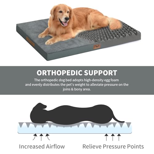 Comfort Dog Bed for Small Dogs & Cats, Waterproof Dog Crate Mat Orthopedic Egg Crate Foam with Washable Removable Cover, Gray - color: Dark Gray, size: 23.0"L x 17.0"W x 2.5"Th