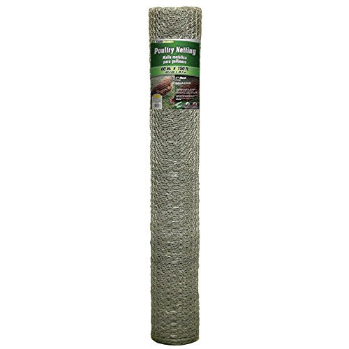 YARDGARD 1 Inch Poultry Netting, Chicken Wire Fence, 20 Gauge Galvanized Steel, Rabbit Fencing, Bird Enclosures, Garden Protection and Plant Support, 60 Inches x 150 Feet - size: 60 Inches x 150 Feet