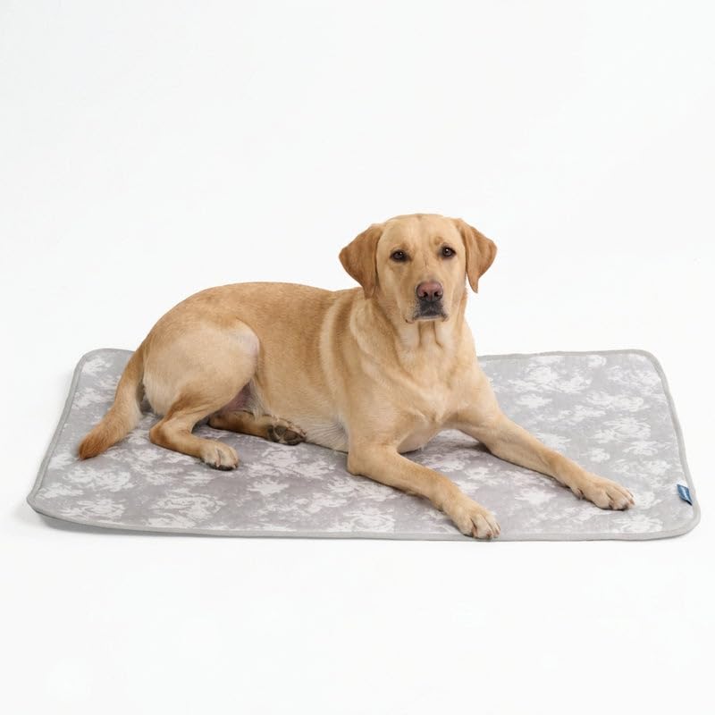Spark Paws Cooling Mat for Dogs - Self Cooling Dog Mat & Pet Cooling Pad for Large, Medium & Small Dogs - Non-Toxic, Non-Gel Washable Cooling Bed - Cloud Grey - Size XXL - color: 03 - Cloud Grey, size: XX-Large