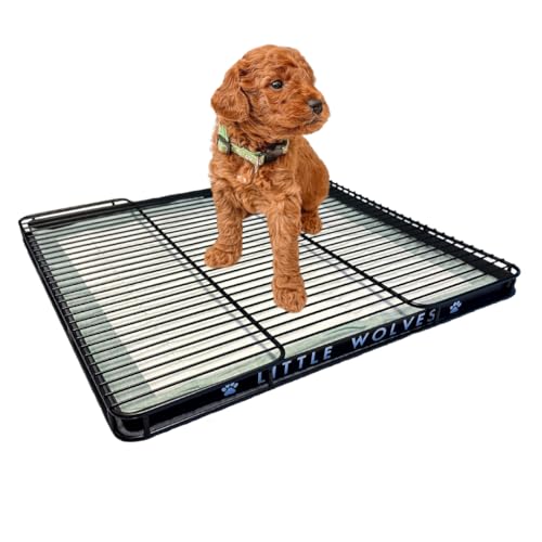 Little Wolves Puppy Potty Tray – 22x22 Shred-Proof Heavy-Duty Training Tray for Puppies & Small Dogs, Easy-Clean, Indoor Dog Pee Pad Holder (Medium Gap) - size: Medium Gap