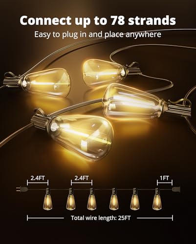VIPAR Outdoor String Lights 25FT LED Patio Lights IPX5 Waterproof with 10+1 ST38 Shatterproof Edison Bulbs, 2700K Connectable Outside Hanging Light for Porch, Garden, Backyard, Deck, Balcony, Decor - size: 25FT