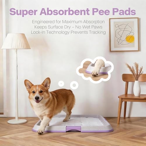 Pawise Dog Pee Pad Holder for Puppy, Puppy Pad Holder Tray, Pet Training Pee Pad, Indoor Potty Tray for Senior Dogs, Dog Toilet for Newborn Puppies, 23.5" x 23.5"，Purple - size: Small-Purple