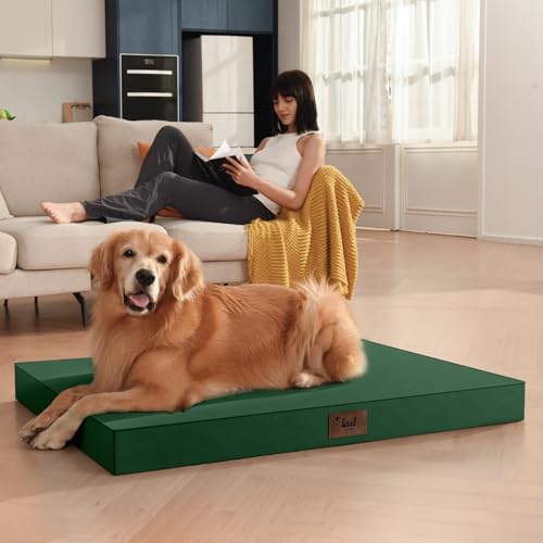 Outdoor Dog Bed for Small Dogs & Cats, Waterproof Dog Crate Mat Orthopedic Egg Crate Foam with Washable Removable Oxford Cover, Dark Green - color: Dark Green, size: 23.0"L x 17.0"W x 2.5"Th