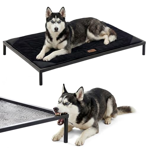 ZOMISIA Chew Proof Elevated Dog Bed for Large Dogs - Raised Pet Cot with Removable Waterproof Padded for Outdoor Use, Indestructible and Washable, 42" L x 27" W x 5" H, Black - size: L - 42"L x 27"W x 5"H