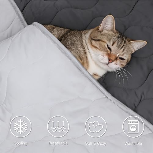 Cooling Blanket for Dogs - Q-MAX>0.4 Waterproof Pet Throw Blanket Bed Cover, Non-Slip Dog Blankets for Couch Protector, Washable Furniture Cover for Summer, Grey,40x60 - color: Grey, size: 40x60 Inch