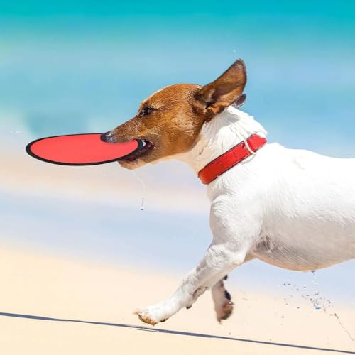Norme 24 Pcs Foldable Flying Disc Fans with Bags Set 9.8'' Handheld Folding Fly Cooling Fans Beach Summer Flying Disc for Birthday Halloween Party Outdoor Activity Game - color: Red, Yellow, Blue and Green
