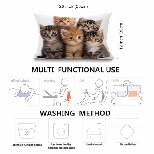 Smooffly Cute Cats Farmhouse Oblong Rectangle Kittens Family Cats Decorative Throw Pillow Case,12"x20" inch - color: Swn06
