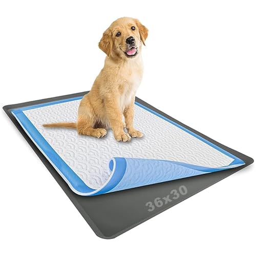 TidyFriend Dog Pee Pad Holder Tray Fits Up to 30” x 36” Wee Wee Pee Pads - Stable Grip, Raised Edges, Quick-Wipe Silicone Surface Dog Potty Tray Holder for Indoor Flooring Protection (Grey) - color: Gray, size: 1 Pack