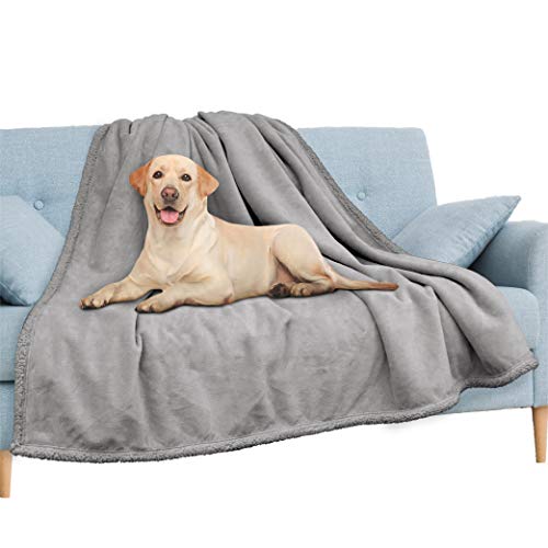 PAVILIA Waterproof Blanket for Couch, Sofa | Waterproof Dog Blanket for Large Dog, Puppy, Cat | Pet Blanket Protector | Plush Soft Warm Fuzzy Sherpa Blanket Bed Throw, Light Grey, 60x80 - color: Light Grey, size: 60x80 Inches