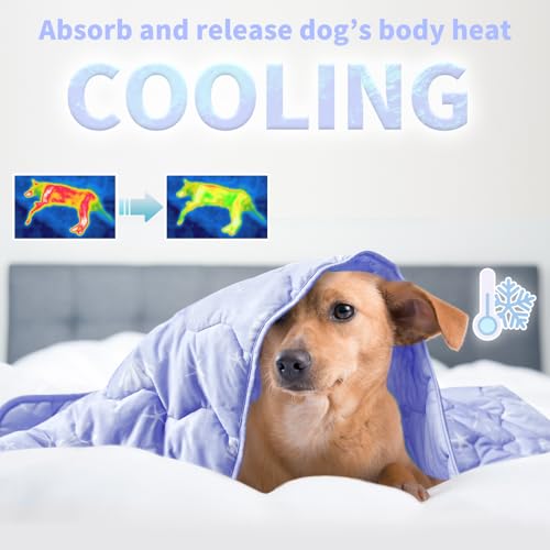 NWK Dog Cooling Blanket, Q-Max>0.345, Ice Silk Cool to Touch Material, Bed Cover, Furniture Protector Couch Sofa for Summer, Anxiety Relief-Machine Washable (Lavender,40'' X 60'') - color: Lavender, size: 40*60