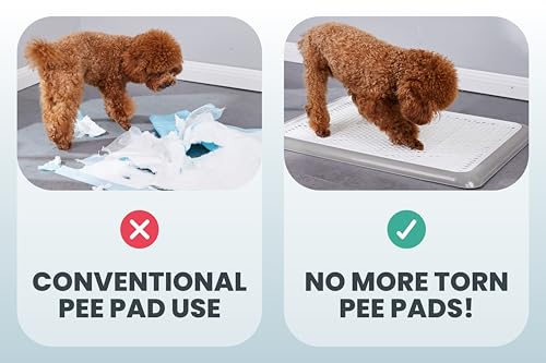 Pet Awesome Dog Potty Tray/Puppy Pee Pad Holder 25”x20” Indoor Wee Training for Small and Medium Dogs - color: Grey