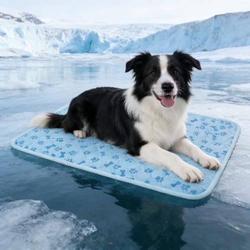 Dog Cooling Mat, Pet Cooling Mat for Dogs and Cats, Portable Summer Dog Cool Pad,Cool Bed for Pets, Premium Pet Cool Blanket for Summer - size: Medium