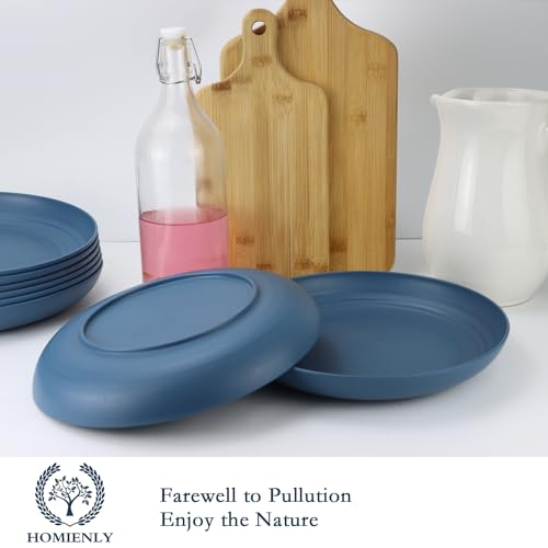 Homienly Dinner Plates Set, Alternative to Plastic Plates,Wheat Straw Plate Set of 8,Lightweight Microwave and Dishwasher Safe Plate,Unbreakable Salad Plates for Kitchen, Camping (Blue,10 inch) - color: Blue, size: 10 Inch