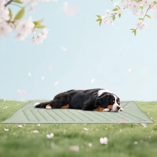 Cooling Mat for Dogs, 150x102cm No Gel Dog Cooling Mat, Cool Fabric Top & Velvet Back Giant Dog Blanket, Washable, Pet Cooling Mat for Dog & Cats, Summer Relief for Indoor Outdoor Crate Kennel - color: Ice Green, size: Size C (59.0"L x 40.0"W x 0.9"Th)