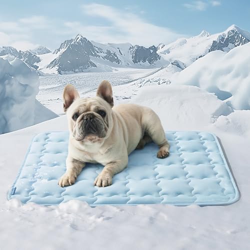 Bedsure Cooling Mat for Medium Dogs, Q-Max>0.5 Thin Breathable Cold Crate Pad for Pet, Portable Washable Kennel Bed for Summer Active Dog with Chill Cool Soothing Fabric to Rapid Cooling, 29x21, Blue - color: Baby Blue, size: 29" x 21" (Medium)