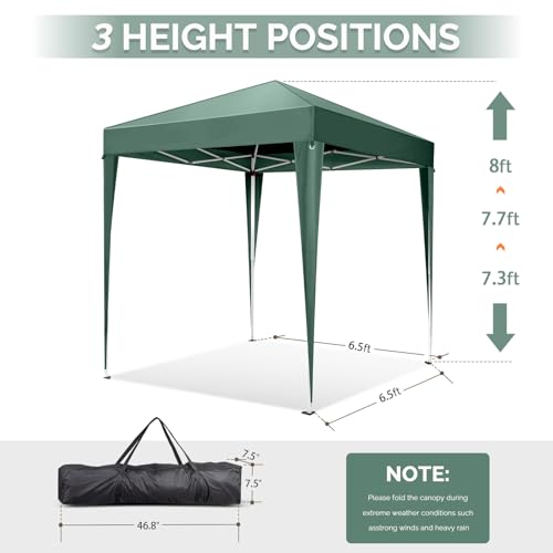 VINGLI 6.5x6.5 Pop Up Canopy Tent with Sidewalls, Outdoor Gazebo Canopy Tent, Patio Event Tents Outdoor Event Shelter for Parties (Green) - color: Green, size: 6.5x6.5