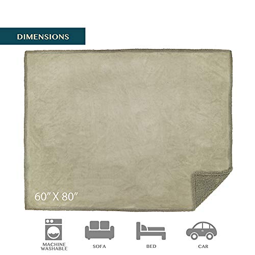 PAVILIA Waterproof Blanket for Couch, Sofa | Waterproof Dog Blanket for Large Dog, Puppy, Cat | Pet Blanket Protector | Plush Soft Warm Fuzzy Sherpa Blanket Bed Throw, Taupe, 90x90 - color: Taupe, size: 90x90 Inches