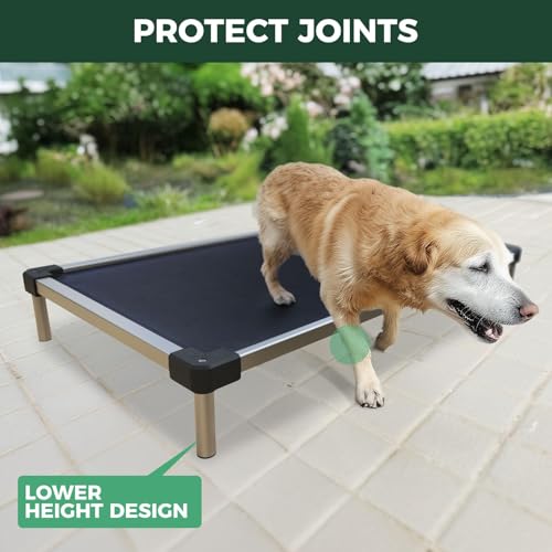 FXW TitanNest Chew-Proof Elevated Dog Bed, Raised Cot for Indoor/Outdoor/Camping Use, Durable & Waterproof Cooling Pet Bed for Large Dogs, 47.0" L x 29.0" W x 7.3" H, Black - size: Large Dog (47.0"l X 29.0"w X 7.3"h)