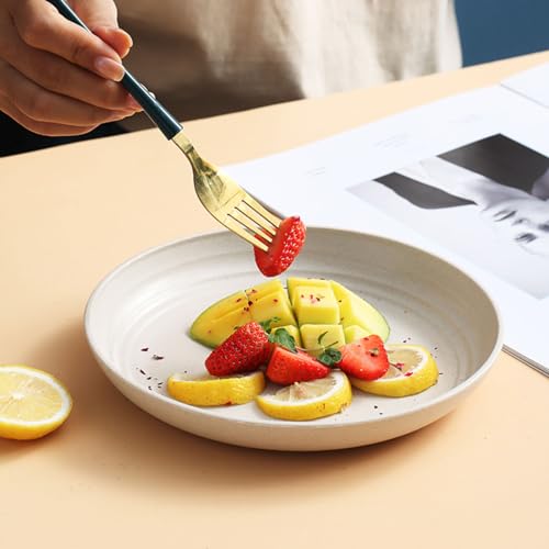 2 Pcs Wheat Straw Plates, 9Inch Unbreakable Dinner Plates, Reusable Plate for Camping,Picninc,Family, Blue - color: Blue