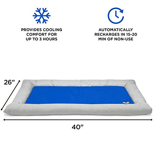 Arf Pets Dog Self Cooling Pet Bed – Solid Gel Based Self Cooling Mat for Pets, Includes a Foam Based Bolster Bed for Extra Comfort - size: 26" x 40