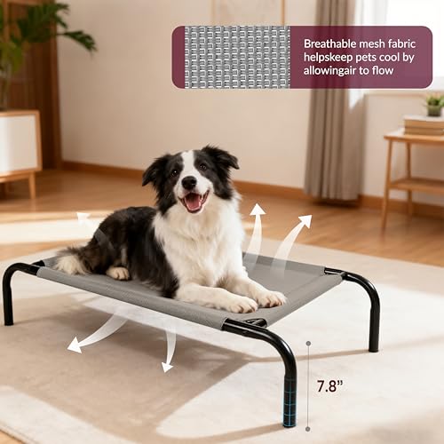 Elevated Dog Bed with Breathable Mesh Fabric, Raised Pet Cot with Airflow and Support, Durable and Easy to Clean (Grey, Medium) - size: Medium