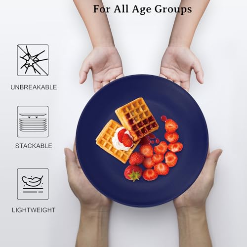 Wrova Wheat Straw Dinner Plates 10 Inch Unbreakable Set of 8 - Dishwasher & Microwave Safe Plastic Plates Reusable - Lightweight Plates for kitchen,camping,salad,appetizer - Ocean Series - color: Gradient Blue, size: 10 inch