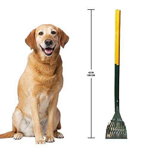 Four Paws Stainless Steel Long-Handled Dog Pooper Scooper Rake & Pan 2 Piece Set, Pet Waste Pickup Tool, 38" x 7" - size: Small, 7" x 7" x 38", style: Rake & Pan Set