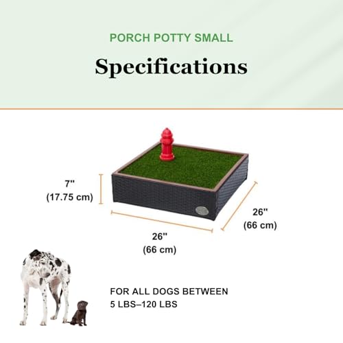 Porch Potty Artificial Grass Potty Pads for Dogs - Small Size 16x16x6 Reusable Potty Training Pad - Washable Pee Pads for Dogs - Unique Design - Instant Drainage -Quick Absorb - 2x2 Feet Grass Size - size: Small