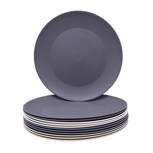 AOYITE Plastic Dinner Plates Reusable, Unbreakable Salad Plates set of 12, BPA Free Microwave & Dishwasher Safe Party Plate for Any Occasion, BBQ, Travel, Events - color: Neutral Tones