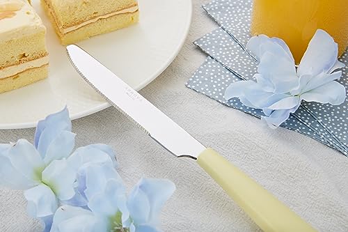 ANNOVA Silverware Set Stainless Steel Colorful Handle Tableware Kitchen Flatware Set Utensils, Includes Dinner Knives, Forks, Spoons, Salad Forks & Dessert Spoons (Yellow, 20 Pieces) - color: Yellow 20Pieces