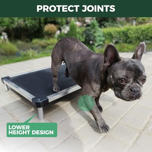 FXW TitanNest Chew-Proof Elevated Dog Bed, Raised Cot for Indoor/Outdoor/Camping Use, Durable & Waterproof Cooling Pet Bed for Toy Dogs, 23.0" L x 17.0" W x 4.1" H, Black - size: Xxs-toy Dog (23.0"l X 17.0"w X 4.1"h)