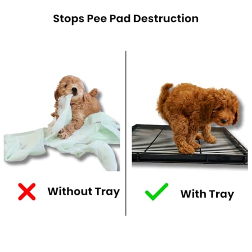 Little Wolves Puppy Potty Tray – 22x22 Shred-Proof Heavy-Duty Training Tray for Puppies & Small Dogs, Easy-Clean, Indoor Dog Pee Pad Holder (Small Gap) - size: Small Gap