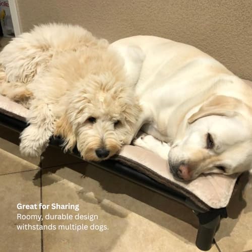 Kuranda Chewproof Elevated Dog Bed - Walnut PVC - 25" x 18" - Heavy Duty Vinyl - Royal Blue - color: Royal, size: 25" x 18" - Walnut PVC
