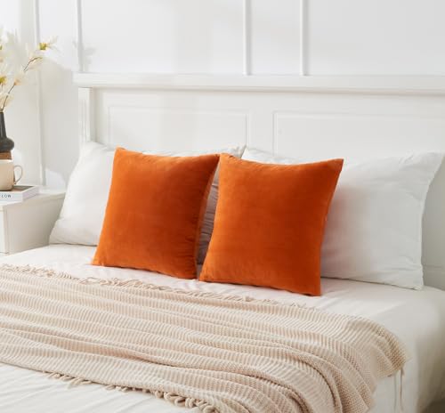 Throw Pillow Covers Burnt Orange Set of 2 18x18 Inch Fall Pillow Covers, Soft Velvet Farmhouse Neutral Decorative Pillowcases for Couch Sofa Bed, Home Boho Decor, Modern Cushion Covers - color: Burnt Orange1, size: 18" x 18" (Pack of 2)