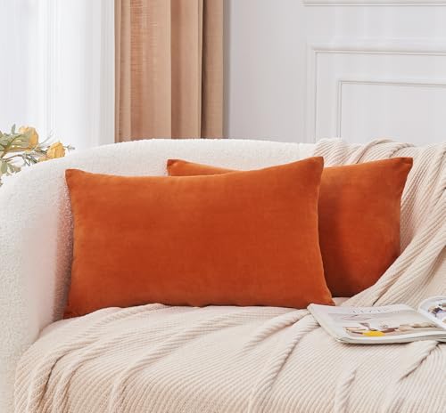 Throw Pillow Covers Burnt Orange Set of 2 12x20 Inch Fall Pillow Covers, Soft Velvet Farmhouse Neutral Lumbar Decorative Pillowcases for Couch Sofa Bed, Home Boho Decor, Modern Cushion Covers - color: Burnt Orange1, size: 20" x 12" (Pack of 2)