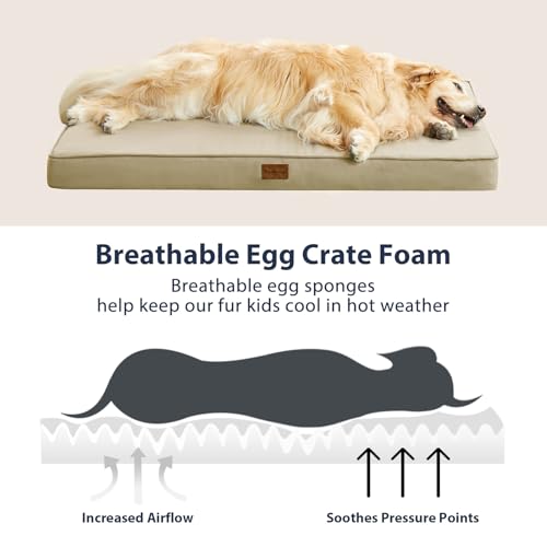 BFPETHOME Outdoor Dog Bed for Large Dogs, Waterproof, Orthopedic with Removable Washable Cover, Egg Crate Foam Mat (36 x 27in, Beige) - color: Beige, size: 36.0"l X 27.0"w X 3.0"th