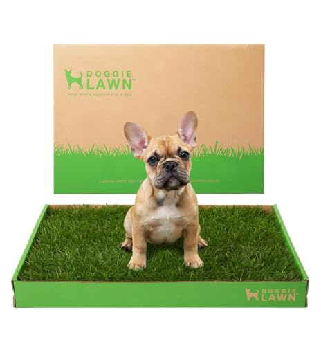 DoggieLawn Real Grass Puppy Pee Pads - Potty Training Pads for Dogs & Puppies - Indoor Grass Dog Potty for Apartments & Bad Weather - Natural Living Grass - Standard 24 x 16 Inches - Made in USA - size: Standard 24x16